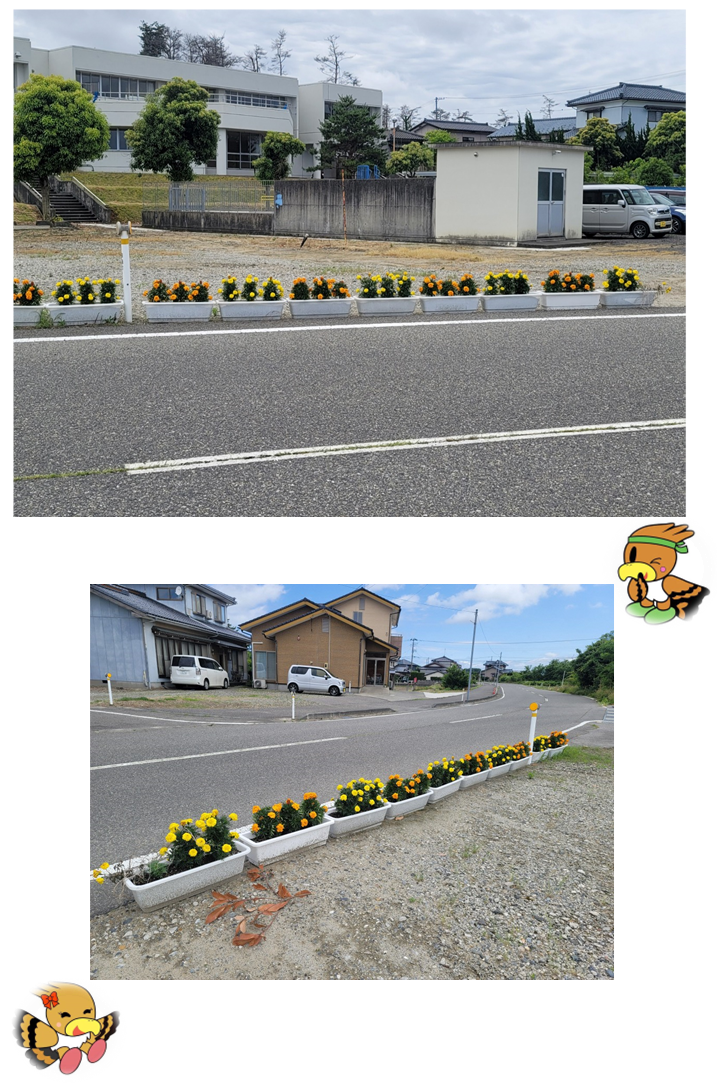 一段目:道路の白線の外側に沿って設置された複数のプランターに黄色とオレンジの花が交互に植えられている写真。 二段目:逆方向から撮影した写真。