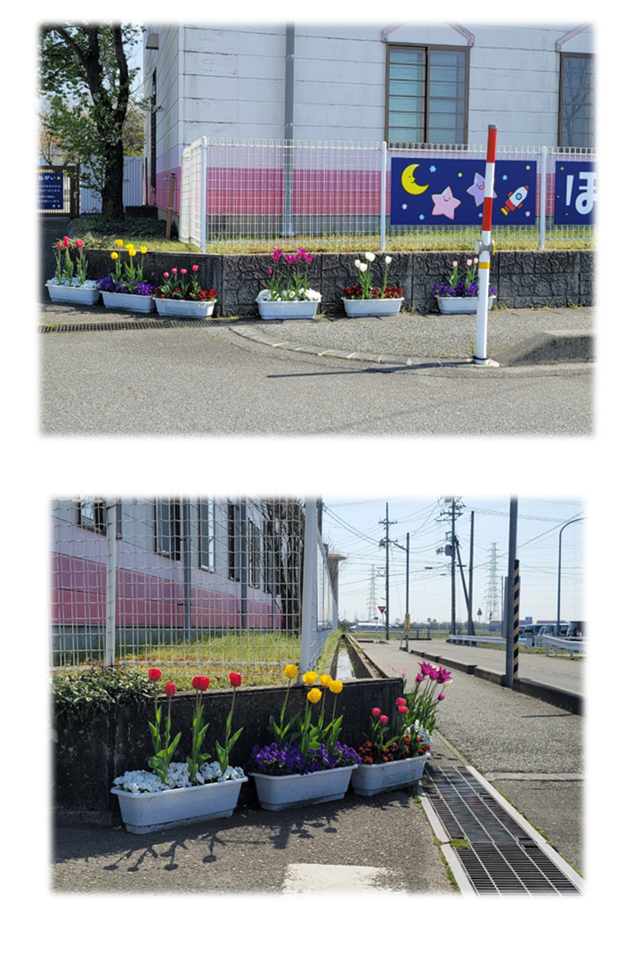 一段目:ほしぞらこども園の建物前に色とりどりのチューリップが咲いているプランターが複数設置されている写真。二段目:別方向から撮影した写真。