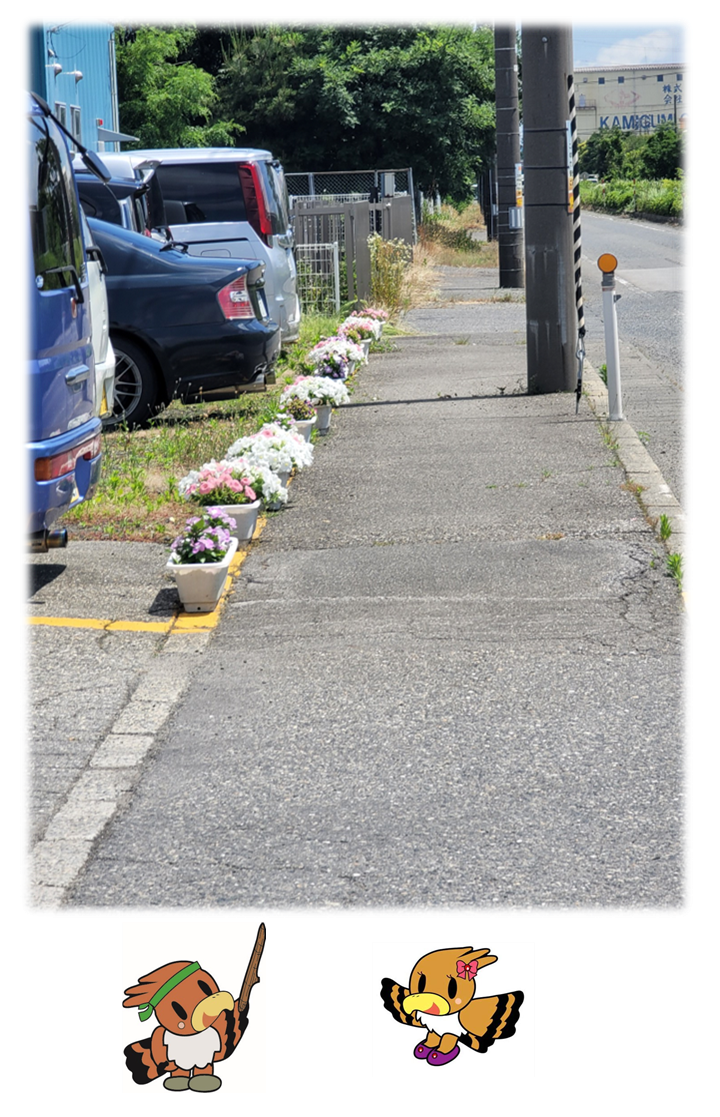 歩道に沿って設置された複数のプランターに白やピンクの花が植えられている写真。