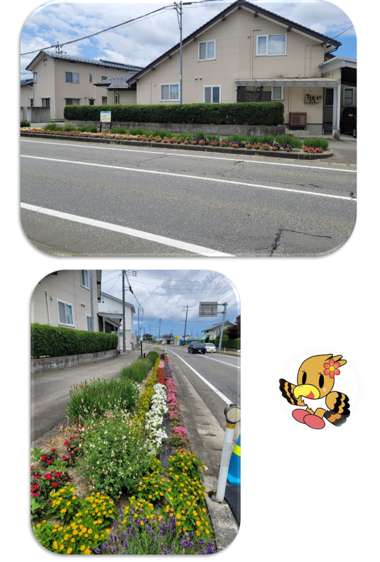 一段目:歩道沿いの花壇に色鮮やかな花がたくさん植えられているのを車道を挟んで反対側から撮影した写真。 二段目:花壇の左側から縦方向に撮影した写真。