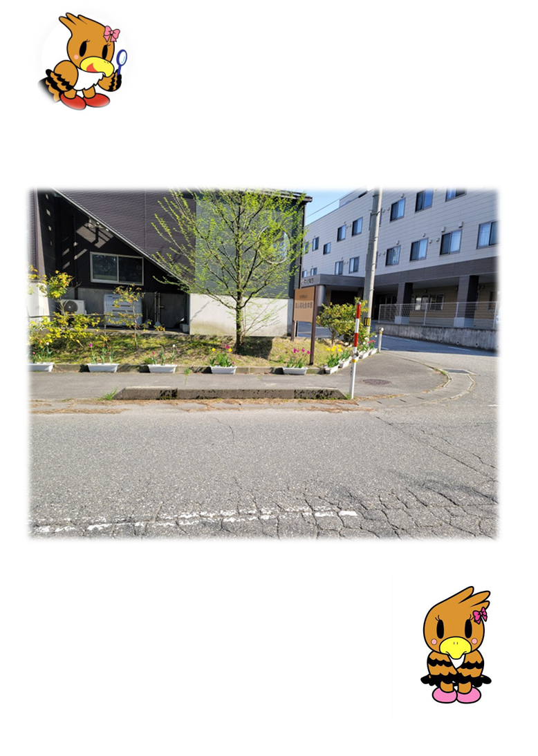 歩道に沿って設置されたピンクや黄色のチューリップが植えられたプランターの写真