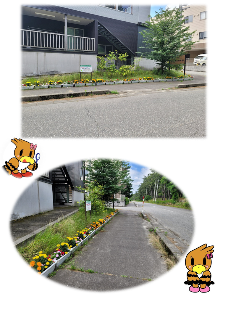 一段目:歩道に沿って設置された黄色やオレンジなどの花が植えられているプランターを車道から撮影した写真。 二段目:左斜め前から近景で撮影した写真。
