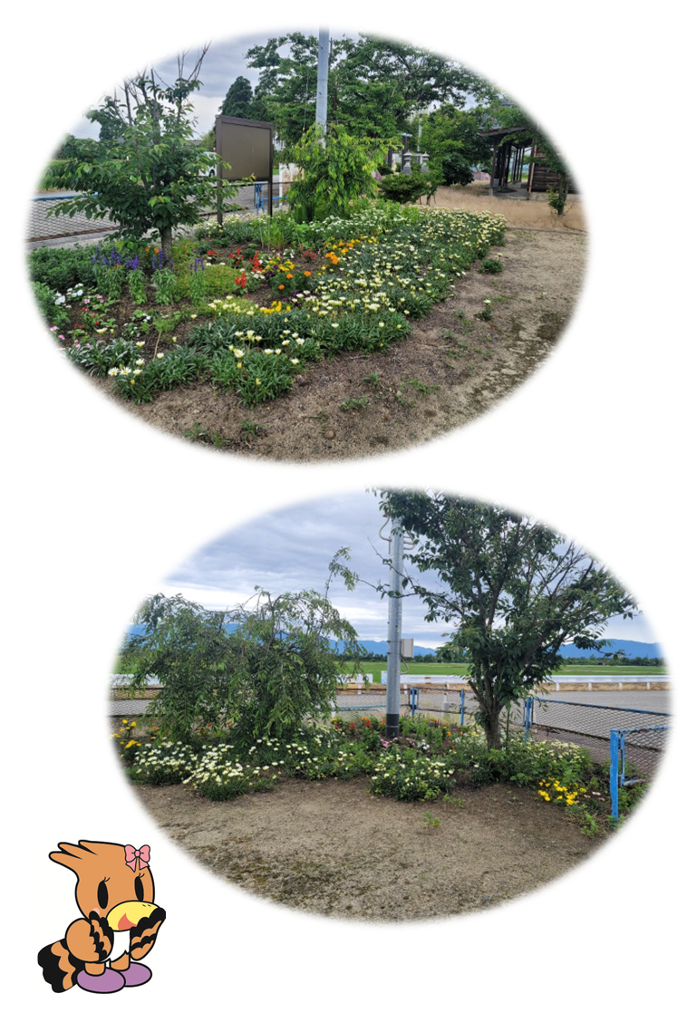 一段目:広場の一角に木や白、オレンジ、黄色、赤、紫などの花が植えられている写真。 二段目:フェンス横の一角に白や黄色の花が植えられている写真。