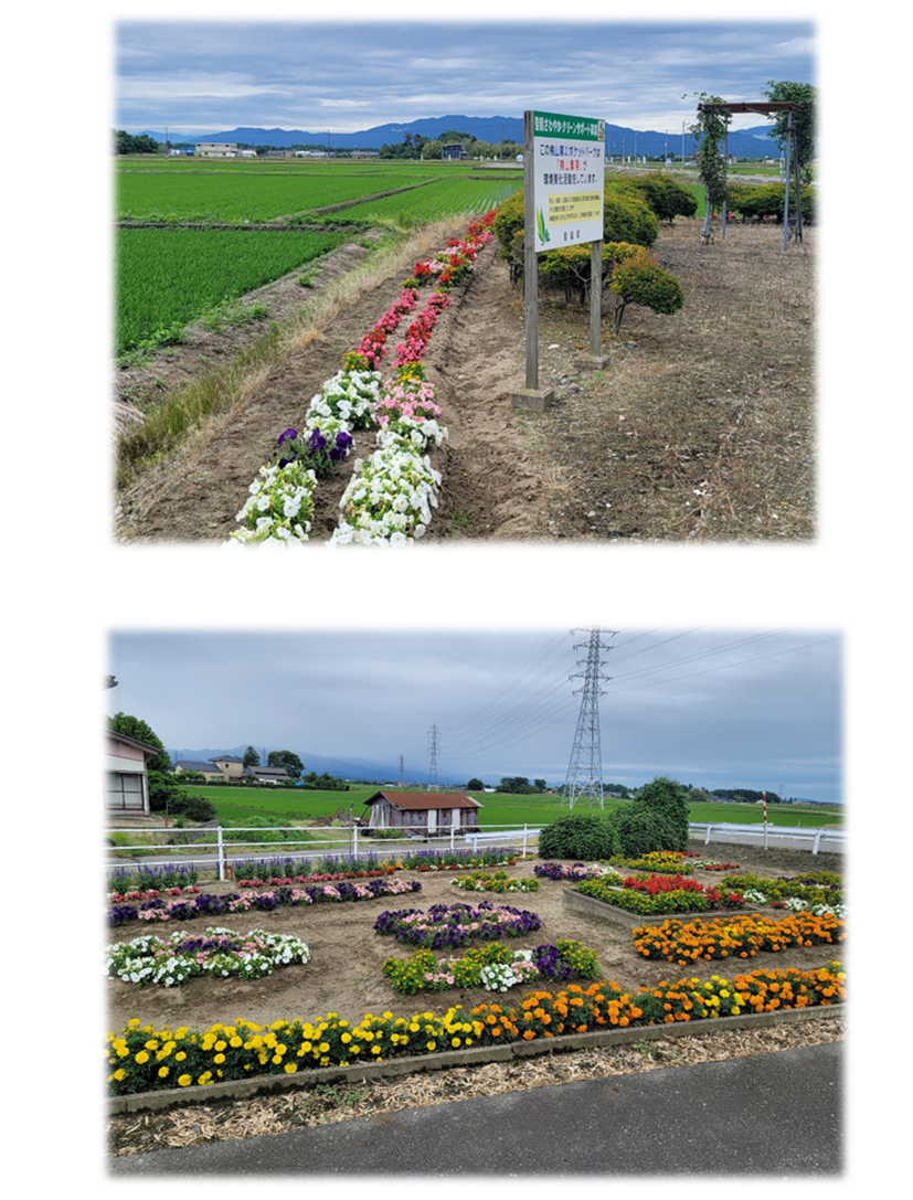 一段目:田んぼの近くの空き地に白やピンク、赤などの色鮮やかな花が2列に植えられている写真。二段目:広い空き地で黄色やオレンジの花が前列に植えられ、後方で白、紫、ピンク、赤などの花が円や四角の形に植えられている写真。