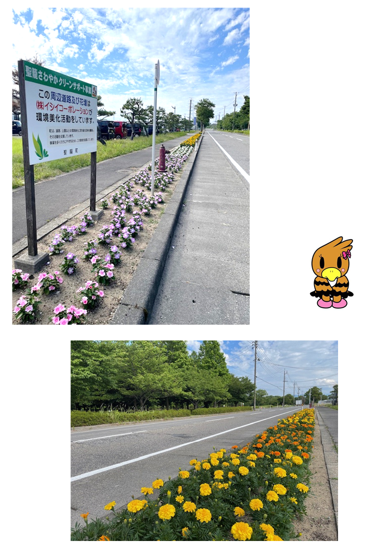 花壇に色とりどりの花が植えられている写真