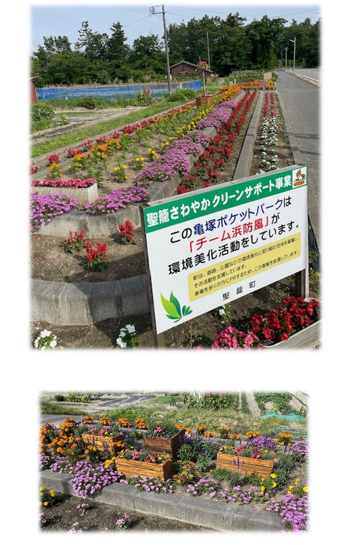 花壇に色とりどりの花が植えられている写真