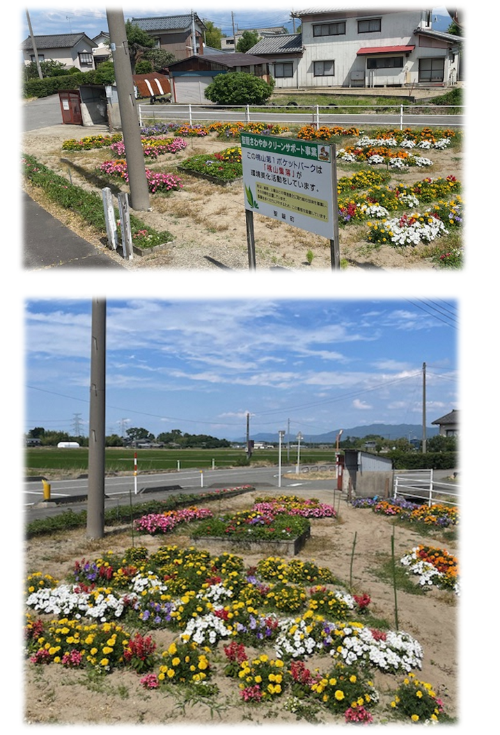 花壇に色とりどりの花が植えられている写真