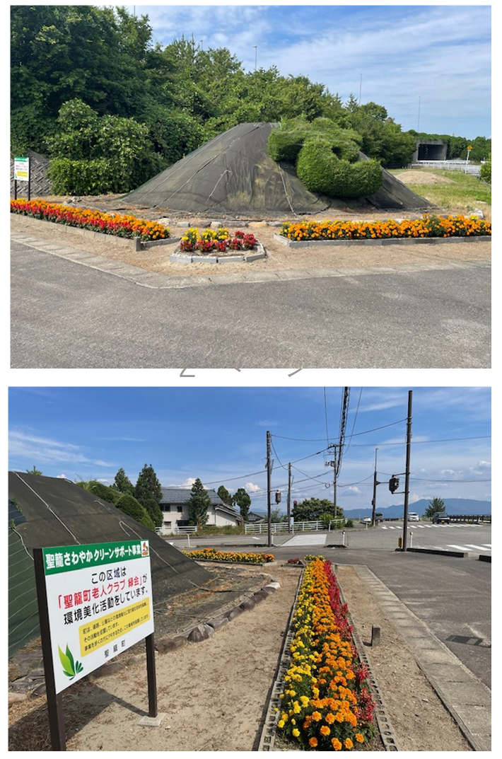 花壇に色とりどりの花が植えられている写真