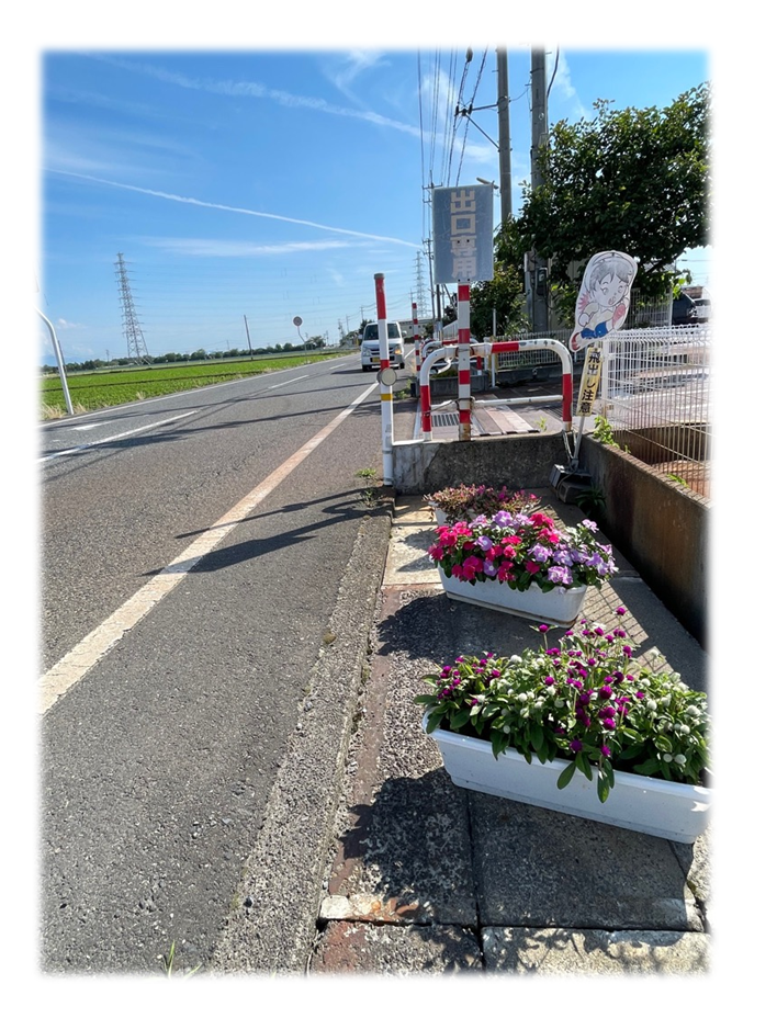 鮮やかな花が植えられたプランターが設置してある写真。