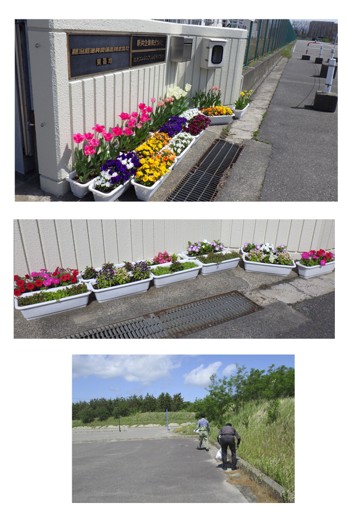 鮮やかな花が植えられたプランターが設置してある写真。