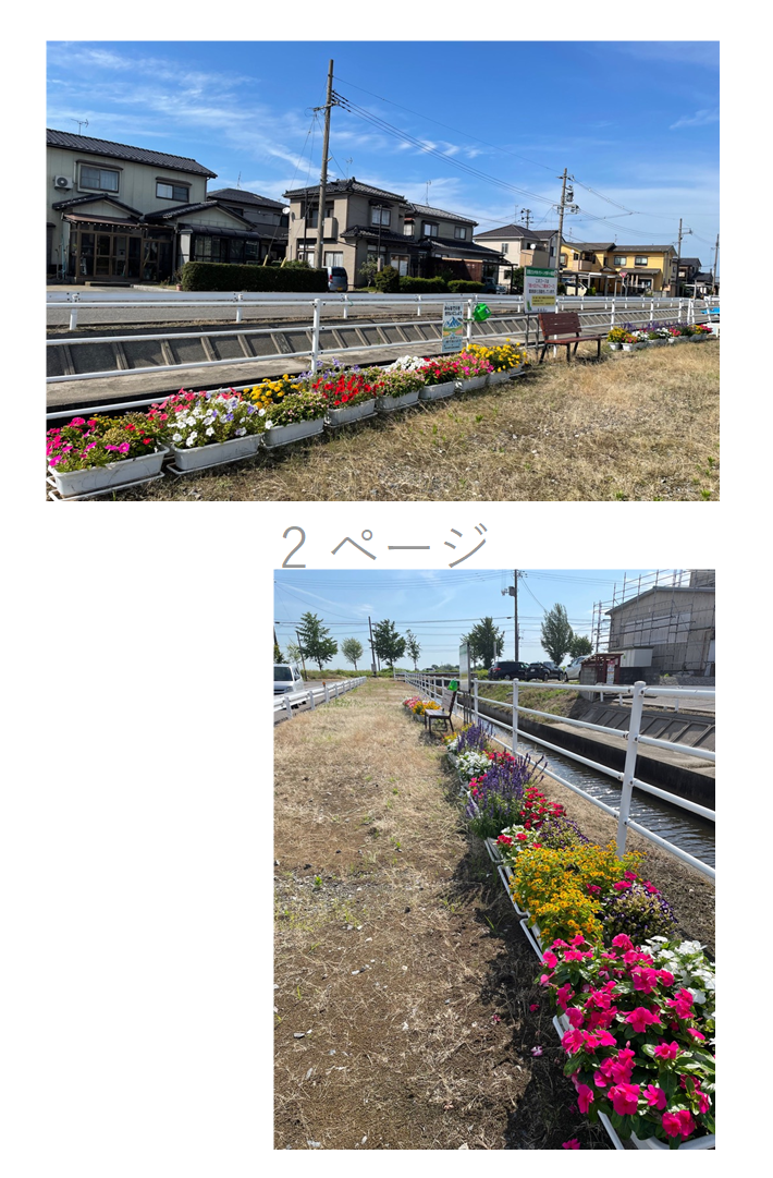 鮮やかな花が植えられたプランターが設置してある写真。
