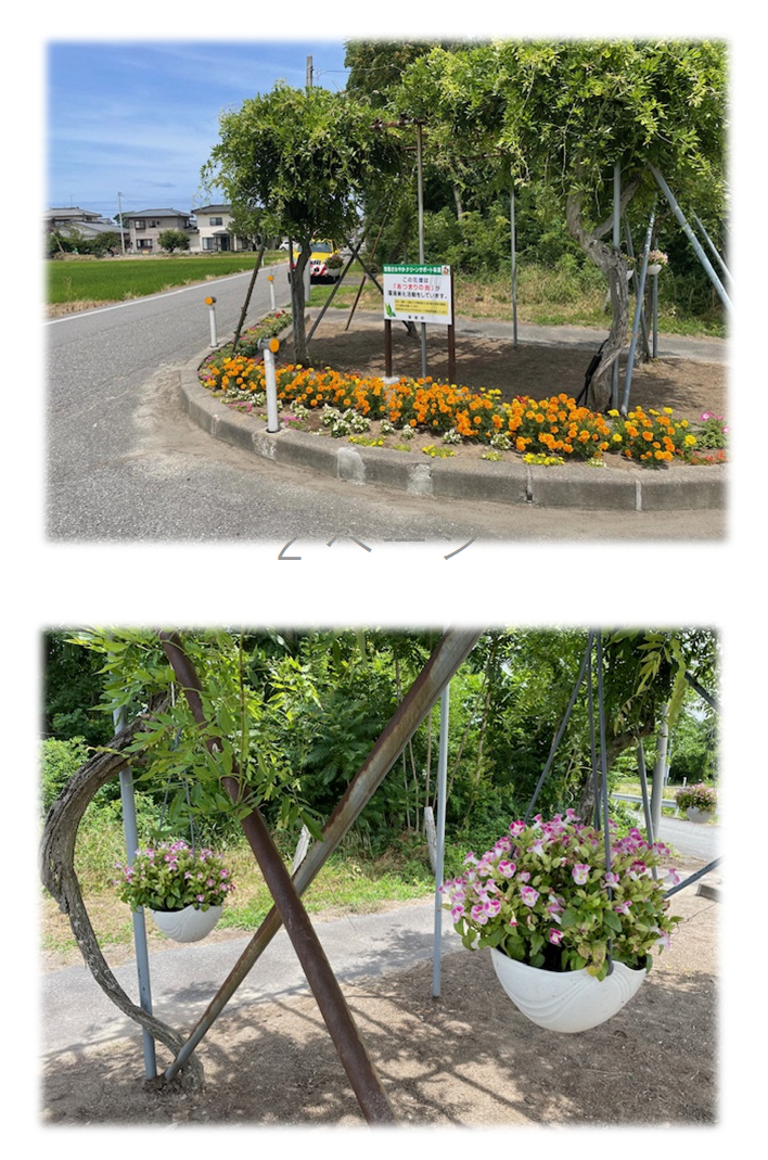 花壇に色とりどりの花が植えられている写真