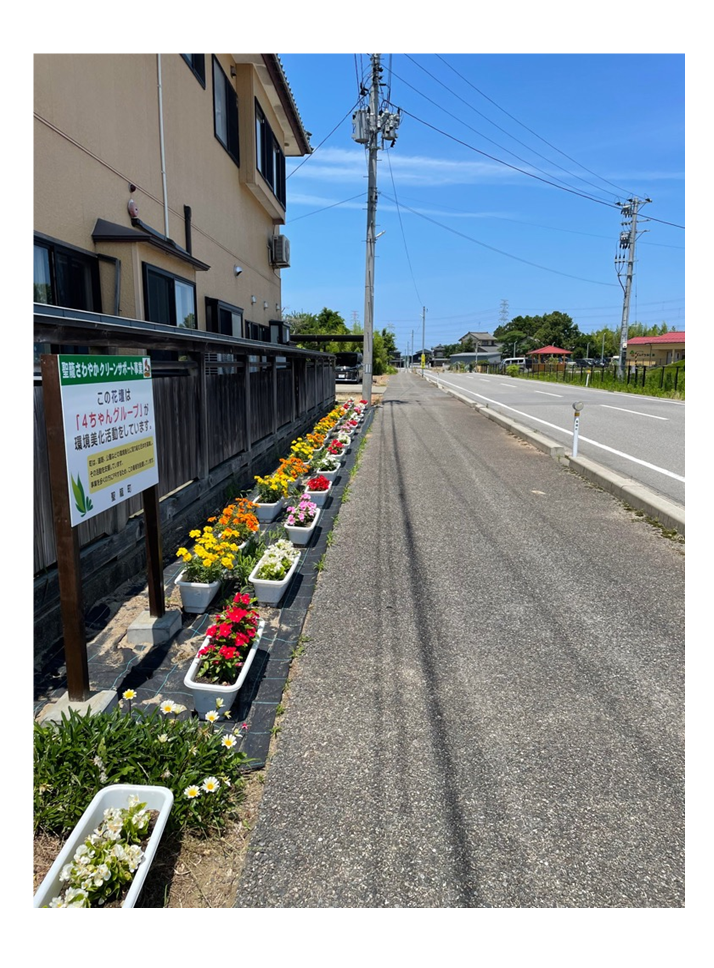 鮮やかな花が植えられたプランターが設置してある写真。