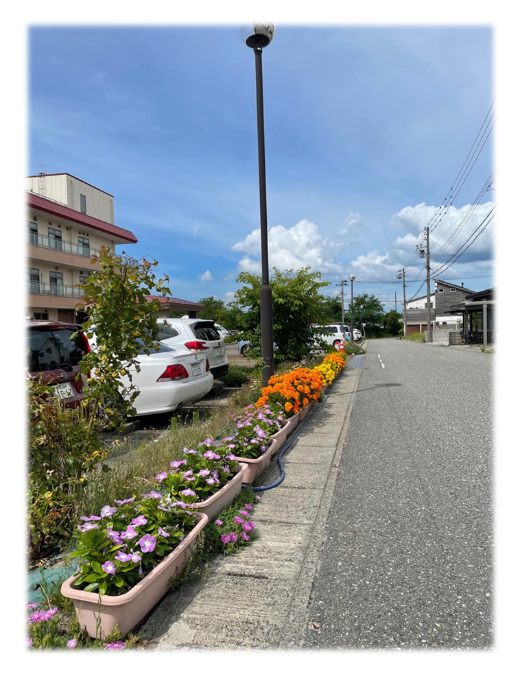 歩道と道路の境目に黄色やオレンジなどの色鮮やかな花が植えられたプランターが設置してある写真。