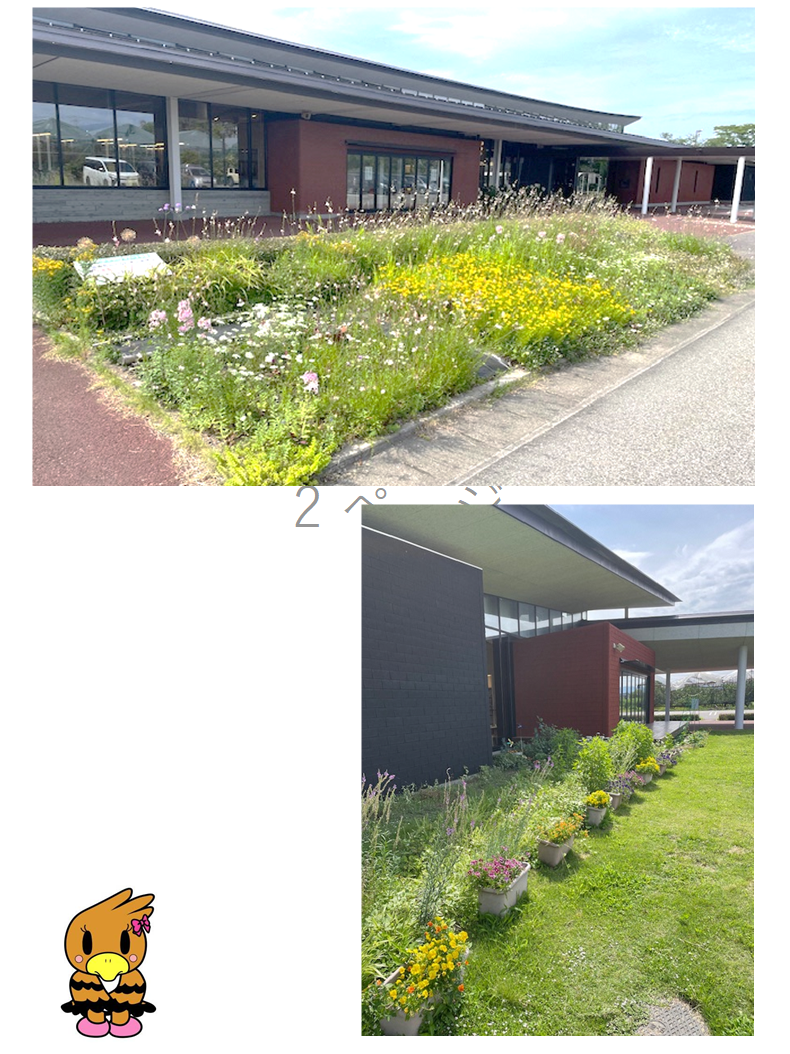 花壇に色とりどりの花が植えられている写真