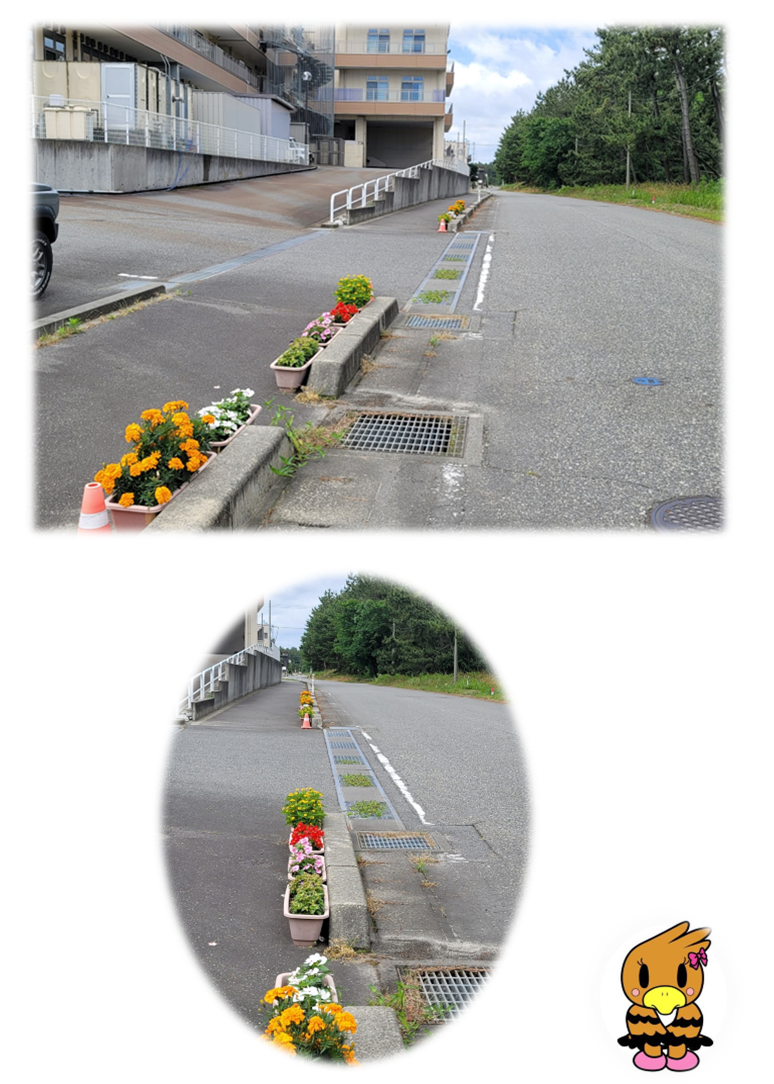 一段目:歩道に設置されたプランターにオレンジ、白、ピンク、赤などの花が植えられているのを左斜め前から撮影した写真。 二段目:左から縦方向に撮影した写真。