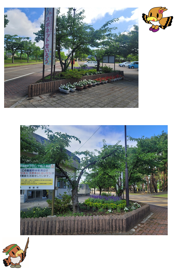 一段目:木や花が植えられた花壇に沿って白や赤の花が植えられたプランターが設置された写真 。 二段目:逆方向から撮影した写真。花壇内の黄色、紫、白の花が目立つ。