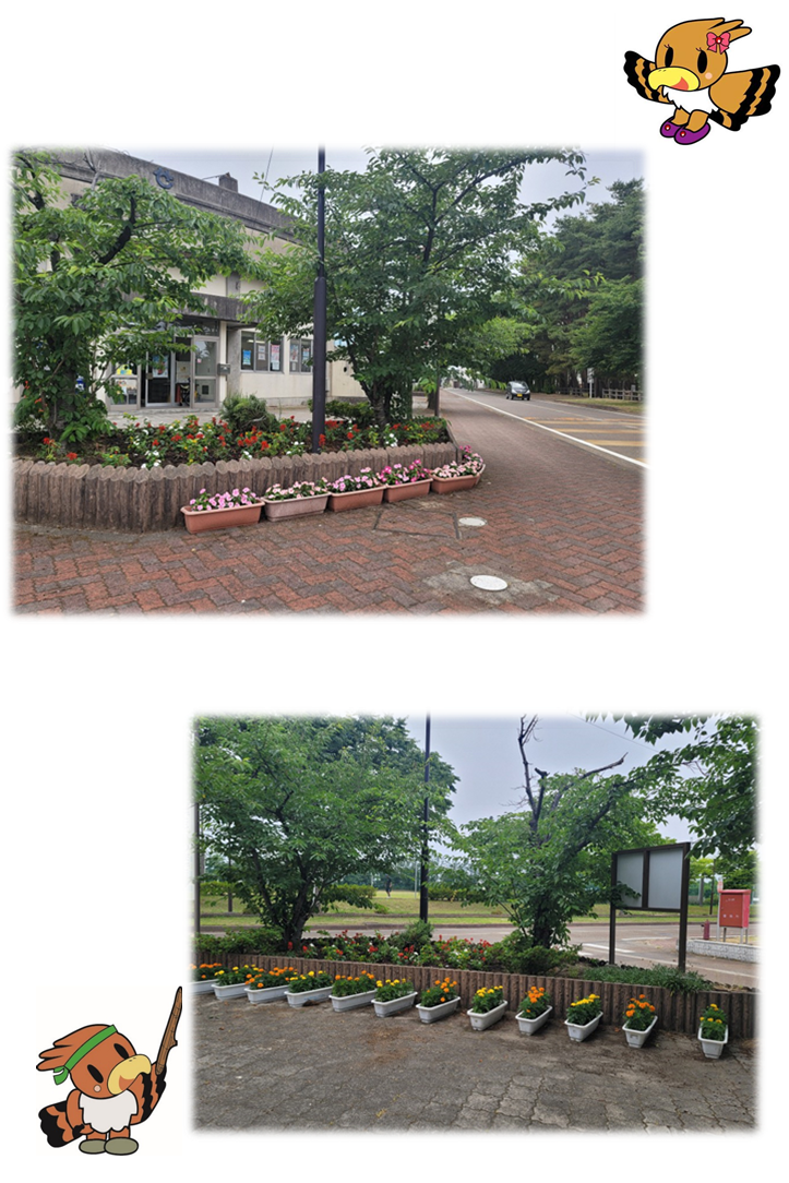 一段目:木や花が植えられた花壇に沿ってピンク色の花が植えられたプランターが設置された写真 。二段目:木や花が植えられた花壇に沿って黄色とオレンジ色の花が植えられたプランターが設置されている写真。