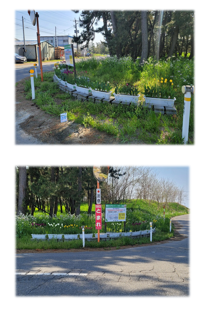 一段目:カーブになっている道路に沿って黄色、白、紫などのチューリップが植えられたプランターが複数設置された写真。二段目:別方向から撮影した写真。