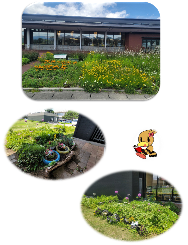 一段目:図書館の前方にある大きな花壇に黄色やオレンジなどの花が植えられている写真。 二段目:複数の鉢や花壇に色鮮やかな花が植えられている写真。 三段目:芝生の近くで葉やピンクの花などが繁茂している写真。