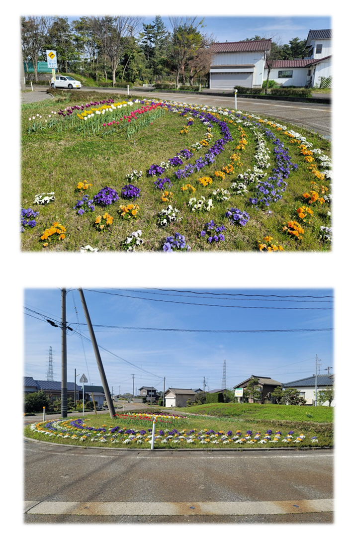 一段目:道路沿いの広場の一角に植えられた色とりどりの花の写真。二段目:遠目から撮影した写真。