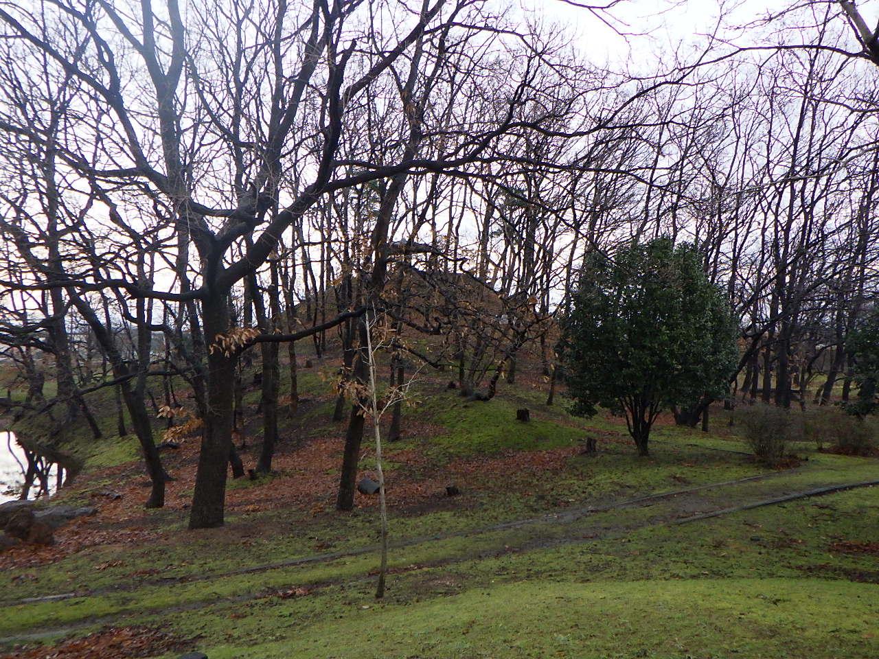 全景