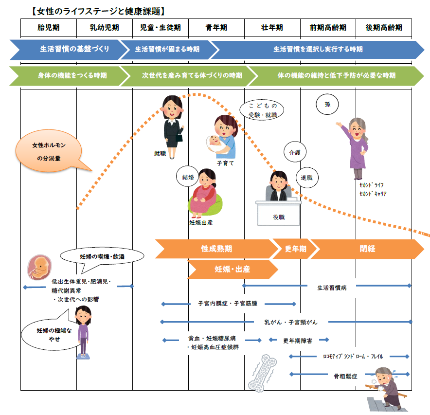 女性の人生