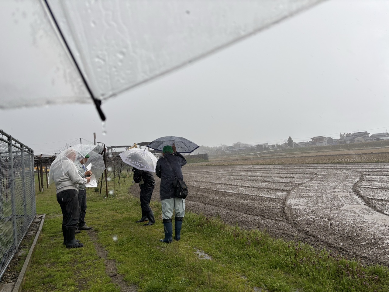 農地転用の現地調査
