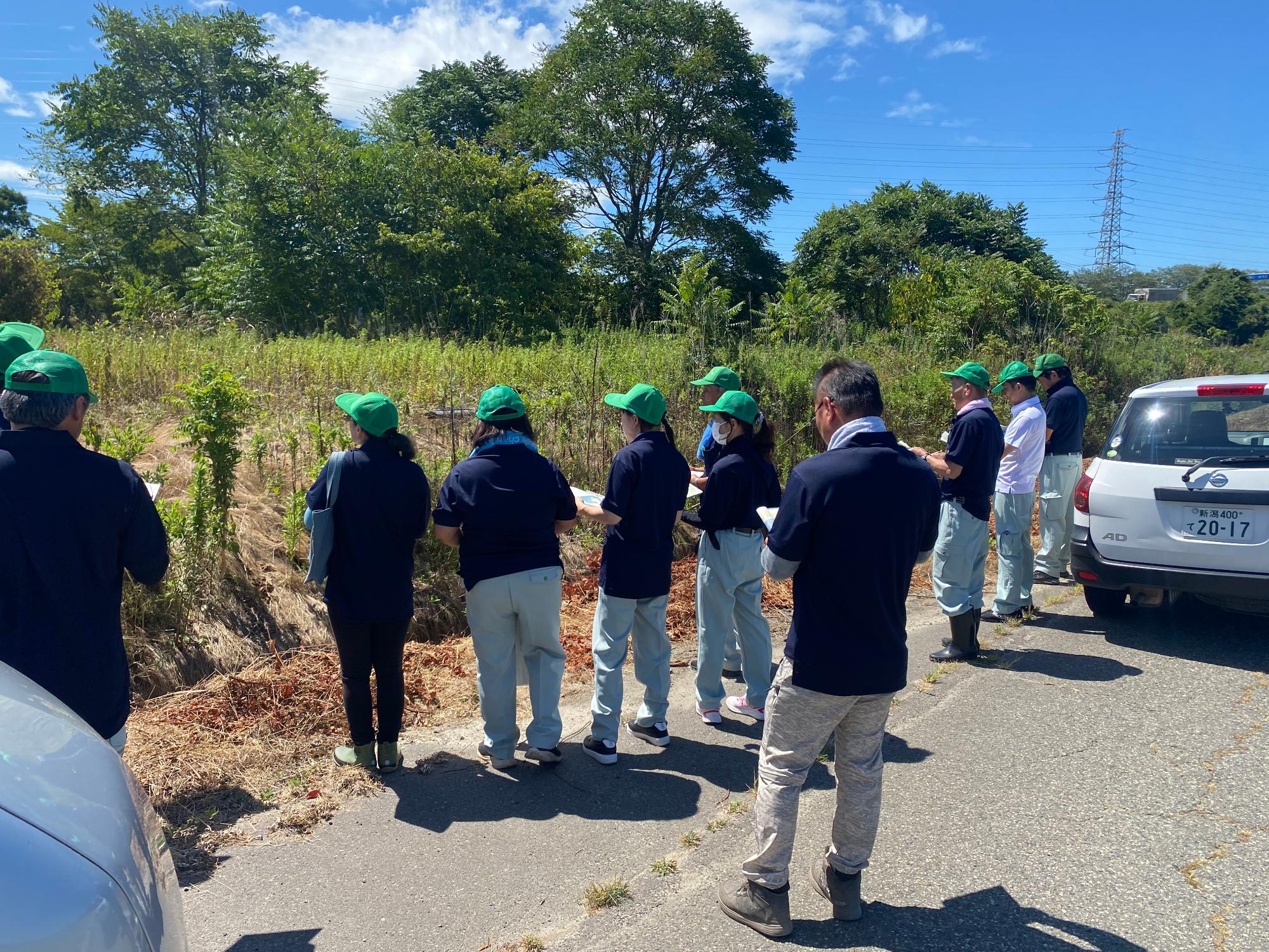 農地パトロール（現地調査）