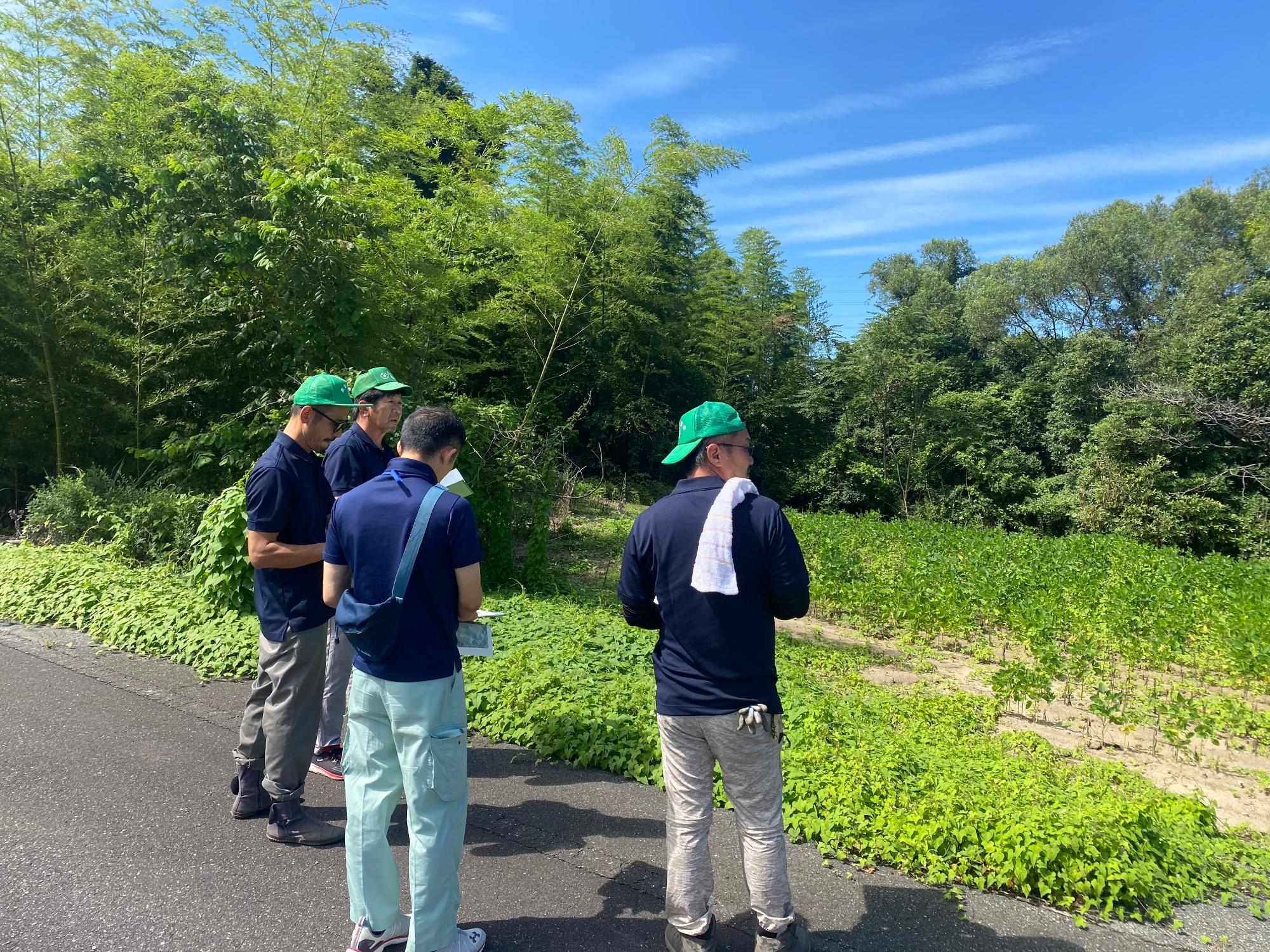 農地パトロール（現地調査）