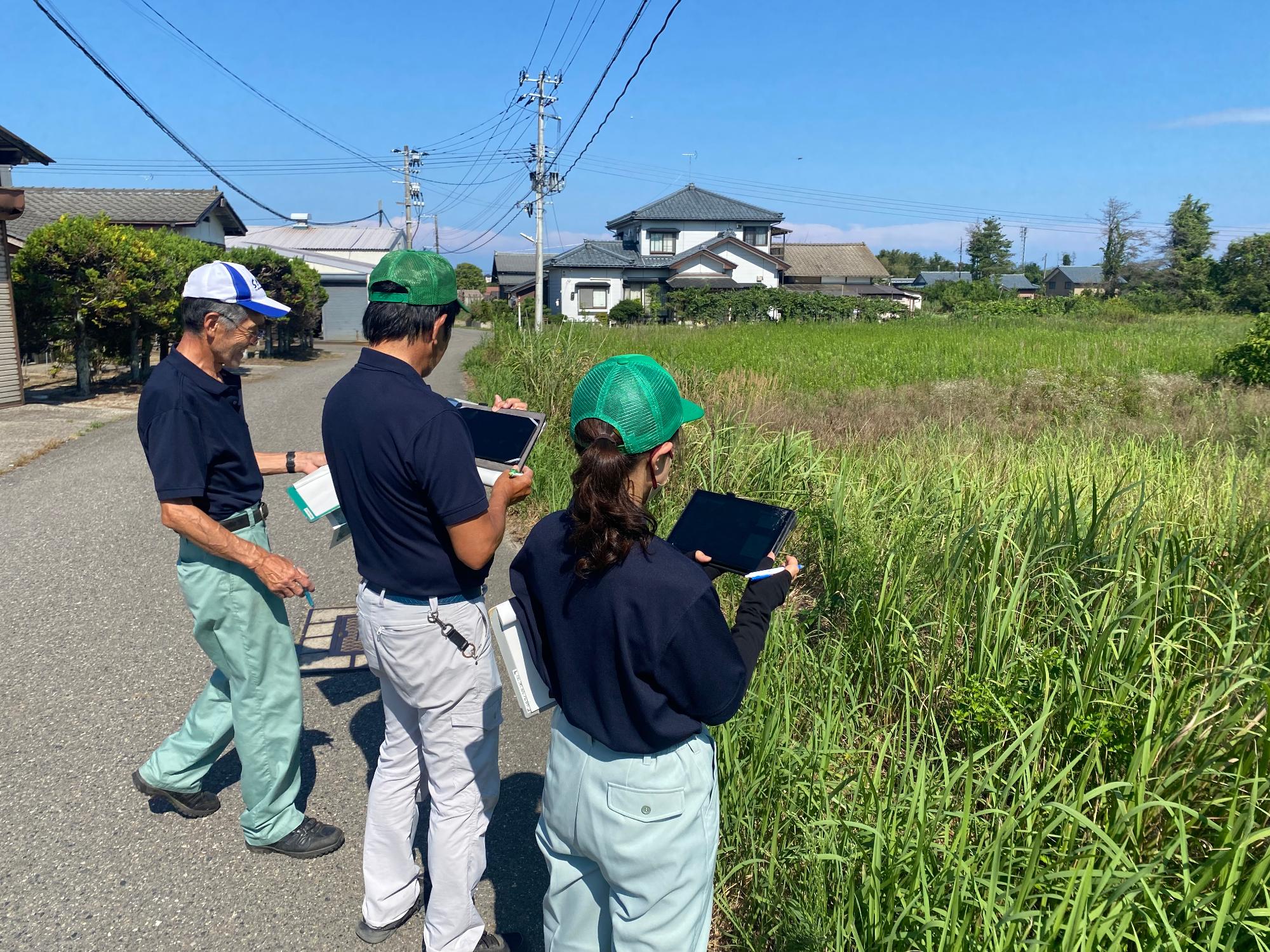 農地パトロール（現地調査）