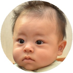 あおとちゃん