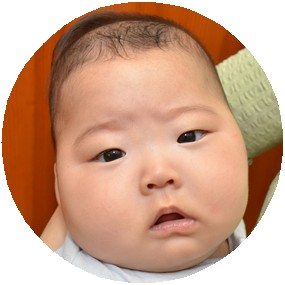 りとちゃん