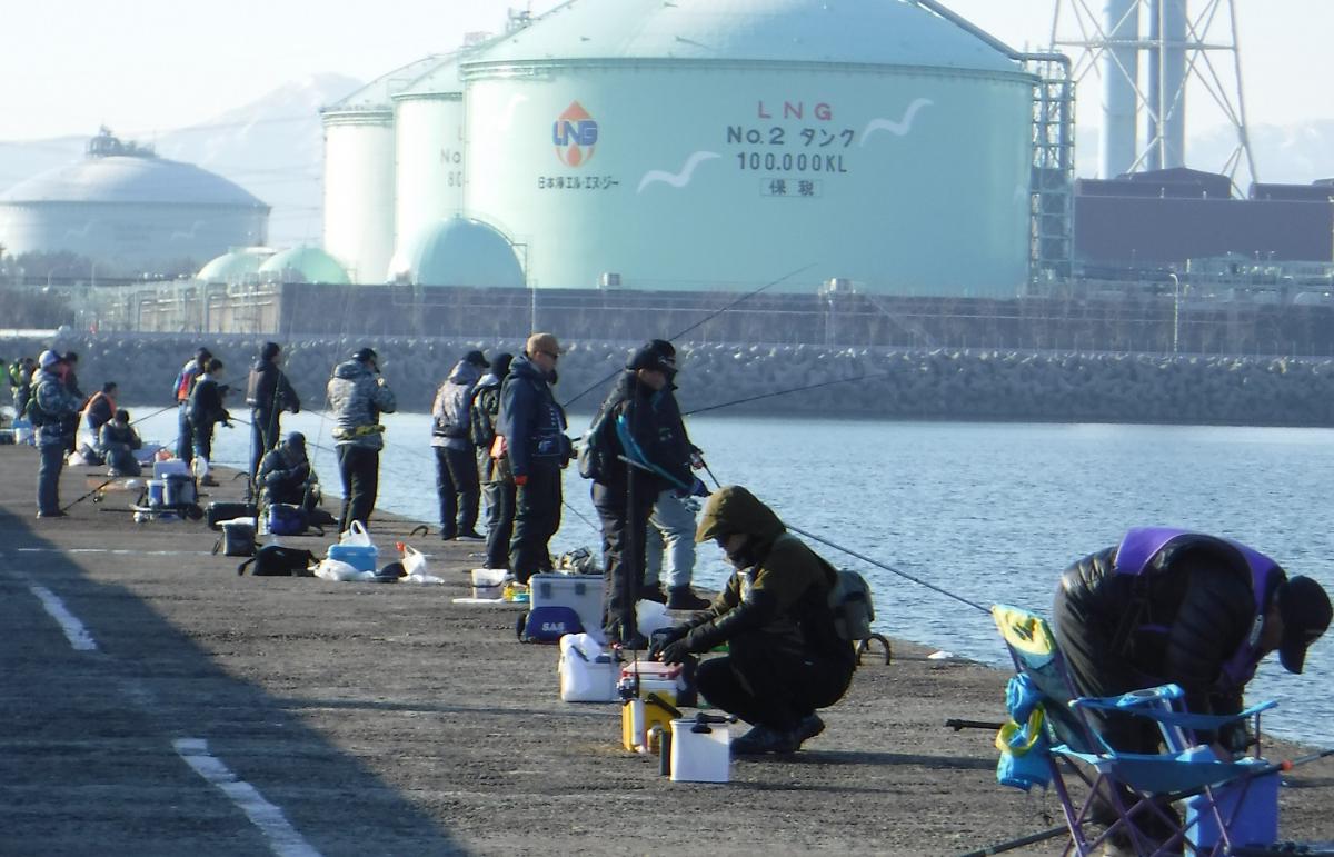 釣り