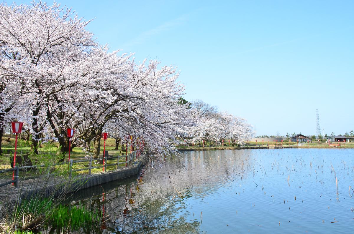 公園