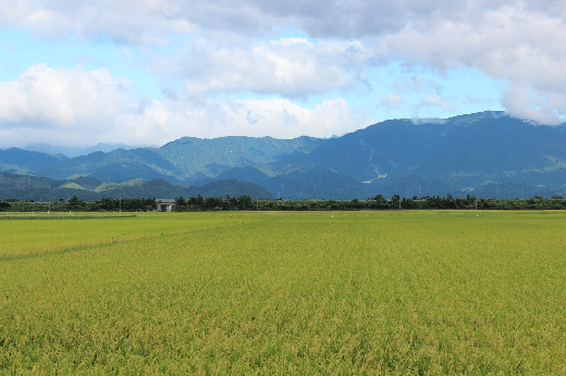 大峰山の風景